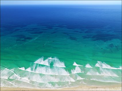 Whales - Head of Bight - SA SQ (PBH3 00 28954)